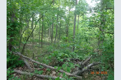 550 S Oak Avenue, White Cloud, MI 49349 - Photo 26