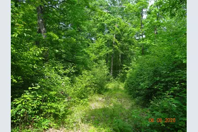 550 S Oak Avenue, White Cloud, MI 49349 - Photo 8
