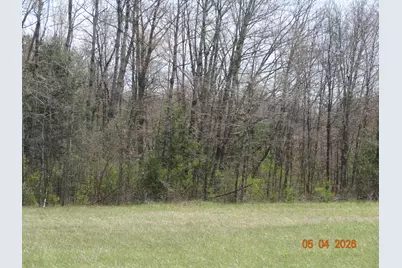 550 S Oak Avenue, White Cloud, MI 49349 - Photo 2