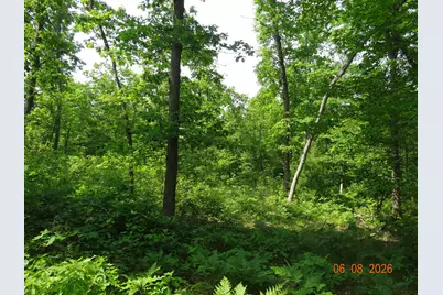 550 S Oak Avenue, White Cloud, MI 49349 - Photo 24