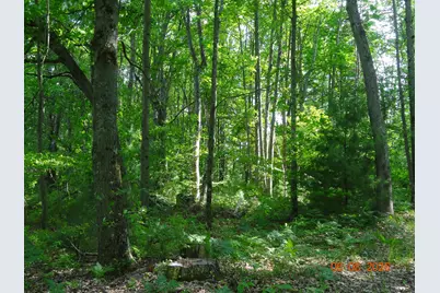550 S Oak Avenue, White Cloud, MI 49349 - Photo 10