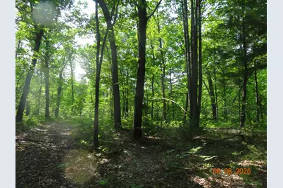 550 S Oak Avenue, White Cloud, MI 49349 - Photo 18