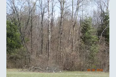 550 S Oak Avenue, White Cloud, MI 49349 - Photo 4