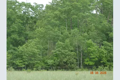 550 S Oak Avenue, White Cloud, MI 49349 - Photo 4