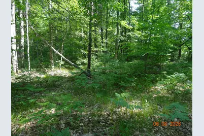 550 S Oak Avenue, White Cloud, MI 49349 - Photo 12