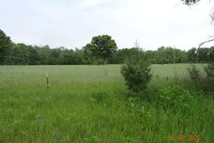 518 S Oak Ave, White Cloud, MI 49349 - Photo 1