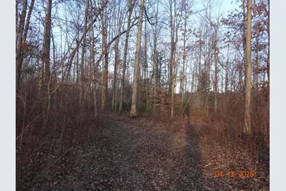 518 S Oak Avenue, White Cloud, MI 49349 - Photo 2