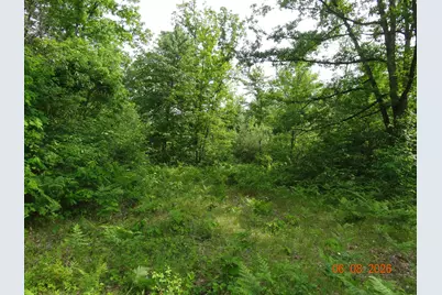 518 S Oak Avenue, White Cloud, MI 49349 - Photo 6