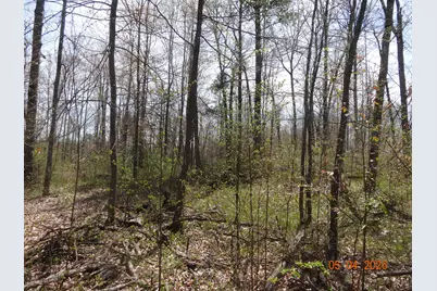 518 S Oak Avenue, White Cloud, MI 49349 - Photo 8