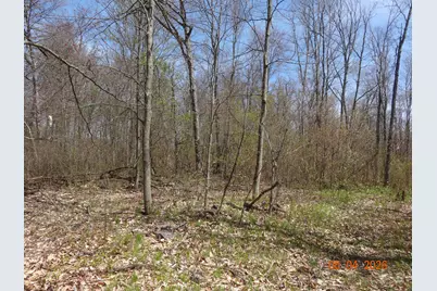 518 S Oak Avenue, White Cloud, MI 49349 - Photo 6