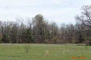 518 S Oak Ave, White Cloud, MI 49349 - Photo 1