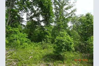 518 S Oak Avenue, White Cloud, MI 49349 - Photo 4