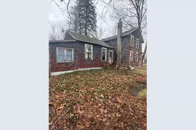 331 S Main Street, Bellevue, MI 49021 - Photo 2