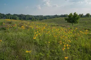 6697 Chaffey Creek Trl, Richland, MI 49083 - Photo 30