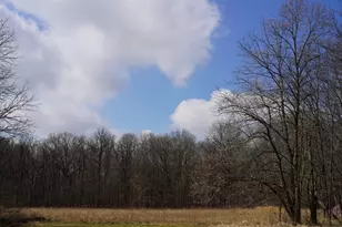 9492 Sayers Rd, Munith, MI 49259 - Photo 48