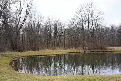 9492 Sayers Road, Munith, MI 49259 - Photo 42