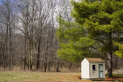 9492 Sayers Road, Munith, MI 49259 - Photo 46