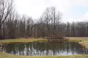 9492 Sayers Rd, Munith, MI 49259 - Photo 44