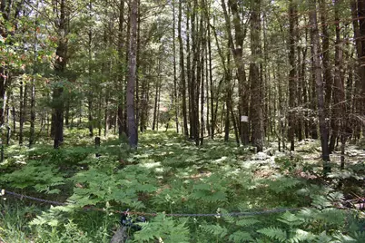 5199 E Marquette Trail, Chase, MI 49623 - Photo 22