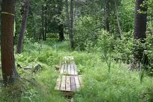 5199 E Marquette Trail, Chase, MI 49623 - Photo 20