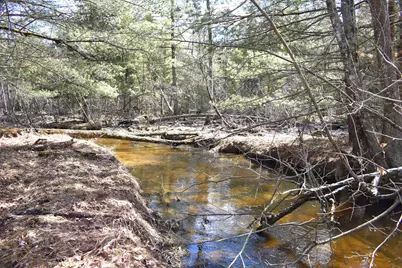 5199 E Marquette Trail, Chase, MI 49623 - Photo 6