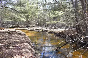 5199 E Marquette Trail, Chase, MI 49623 - Photo 6