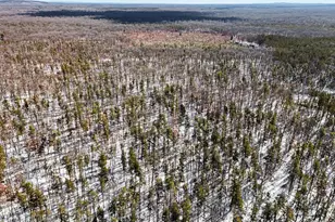 0 E Stark Rd, Free Soil, MI 49411 - Photo 10