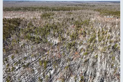 0 E Stark Road, Free Soil, MI 49411 - Photo 6