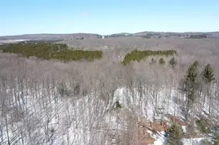 9891 Glovers Lake Rd, Bear Lake, MI 49614 - Photo 58