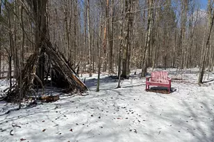 9891 Glovers Lake Rd, Bear Lake, MI 49614 - Photo 54