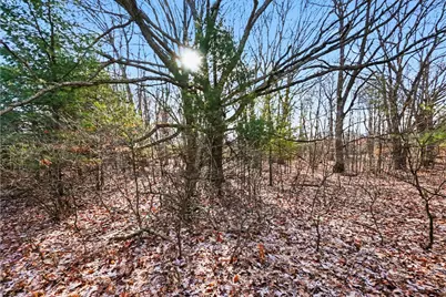 Vl W 100th Street, Grant, MI 49327 - Photo 20