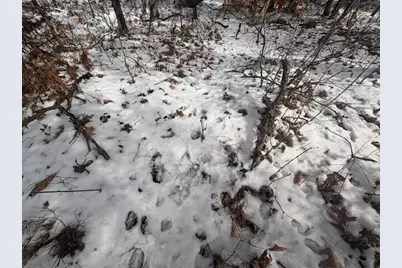 N 5th Avenue, Marion, MI 49665 - Photo 6