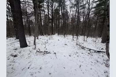 492 14 Mile Road, Marion, MI 49665 - Photo 20