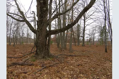 N Dorr Road, Merritt, MI 49667 - Photo 8