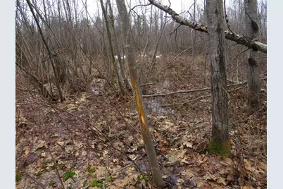 N Dorr Road, Merritt, MI 49667 - Photo 6