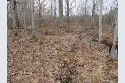 N Dorr Road, Merritt, MI 49667 - Photo 2