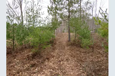 N Dorr Road, Merritt, MI 49667 - Photo 20