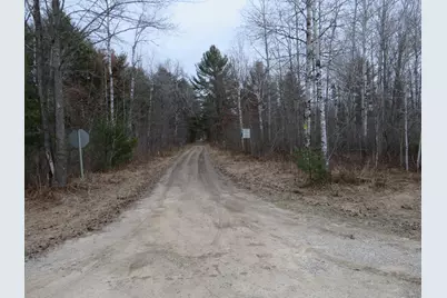 N Dorr Road, Merritt, MI 49667 - Photo 30