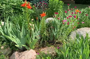 694 68th St SW, Byron Center, MI 49315 - Photo 4