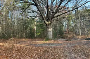 18651 W Spring Lake Rd, Spring Lake, MI 49456 - Photo 16