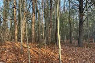 18651 W Spring Lake Rd, Spring Lake, MI 49456 - Photo 18