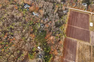 18651 W Spring Lake Rd, Spring Lake, MI 49456 - Photo 8