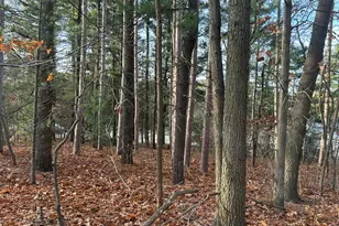 18651 W Spring Lake Rd, Spring Lake, MI 49456 - Photo 12