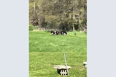 19250 Homer Road, Marshall, MI 49068 - Photo 74