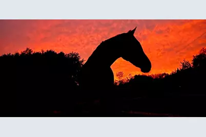 19250 Homer Road, Marshall, MI 49068 - Photo 64