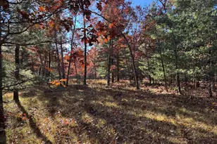 Parcel 3 County Line Rd, Free Soil, MI 49411 - Photo 4