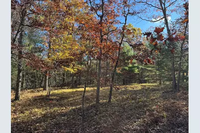 Parcel 4 County Line Road, Free Soil, MI 49411 - Photo 1