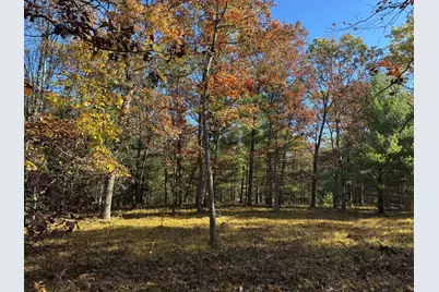 Parcel 4 County Line Road, Free Soil, MI 49411 - Photo 4