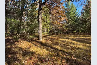 Parcel 6 County Line Road, Free Soil, MI 49411 - Photo 4