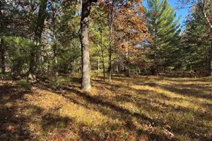 Parcel 6 County Line Rd, Free Soil, MI 49411 - Photo 4